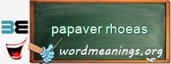 WordMeaning blackboard for papaver rhoeas